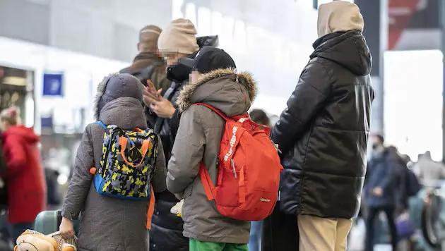 Украинцы возглавляют список: на базовое обеспечение в Тироле потрачено 38 миллионов евро